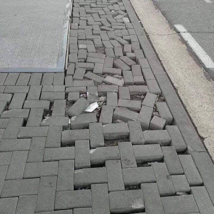 Describe this image